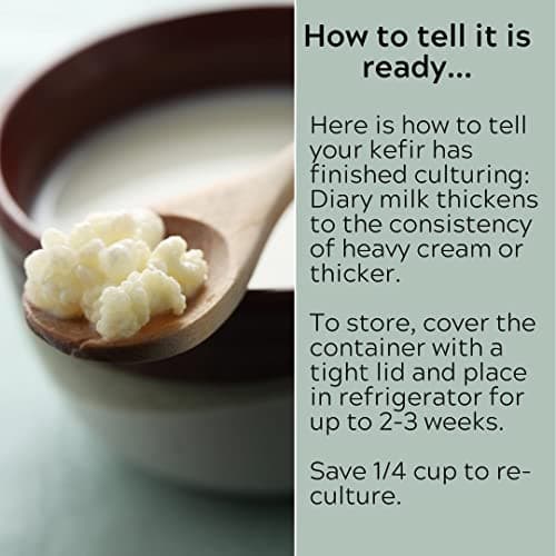 Milk Kefir Grains Live Scoby Bulgaros - Fresh Live Active Probiotic Starter Cultures