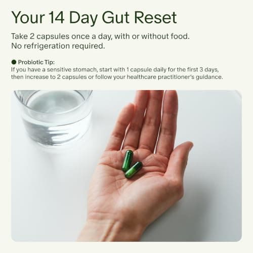 Seed 14 Day Gut Reset - Prebiotic and Probiotic for Women & Men - Digestive Health, Gut Health, Rapid Gut Recovery, Bloating & Constipation Relief - Vegan & Shelf-Stable - 28 Capsules (14-Day Supply)