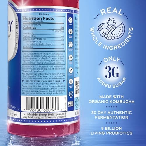 SYNERGY The Real Kombucha - Gingerberry - 16 fl oz Bottle - Raw Probiotic Drink for Gut Health and Immune Support