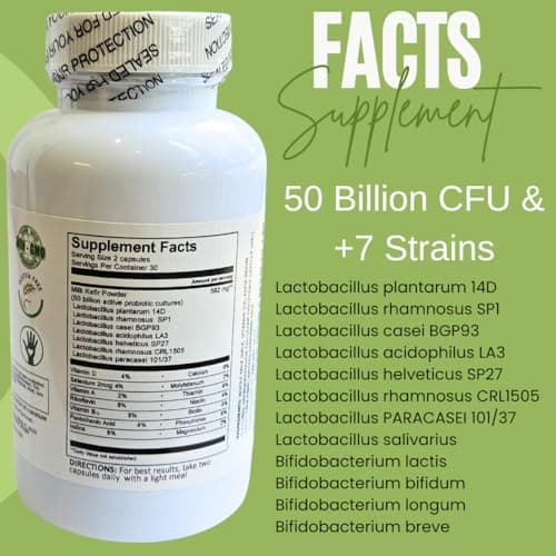 Pure Kefir Probiotic Supplement 50 Billion CFU - Kefirito 7 Strains Kefiran 60 Capsules - Probiotics for Women and Men - Digestive Enzymes Supports Akkermansia 1 Month Supply The Spirit of The Forest