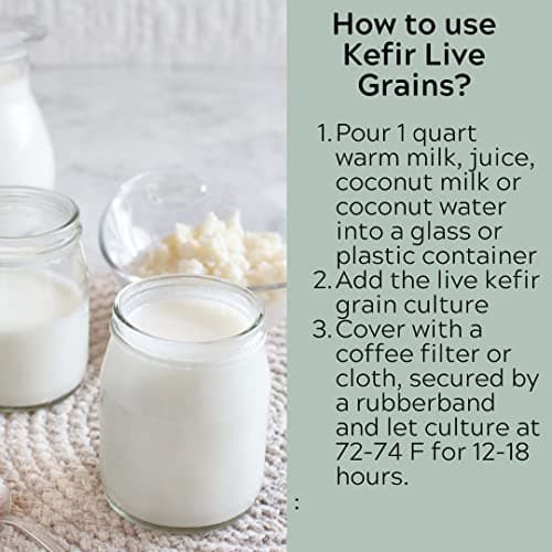 Milk Kefir Grains Live Scoby Bulgaros - Fresh Live Active Probiotic Starter Cultures