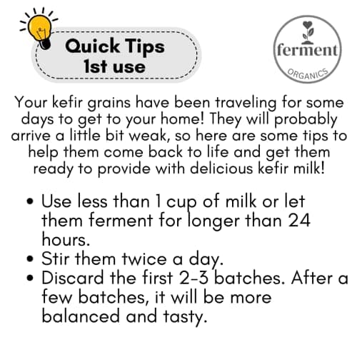 Live Kefir Grains 1 TBSP, Kefir Starter Culture, Rich in Live Active Probiotics, Start your own Culture at Home, Bulgaros de Leche, Beginners Kit