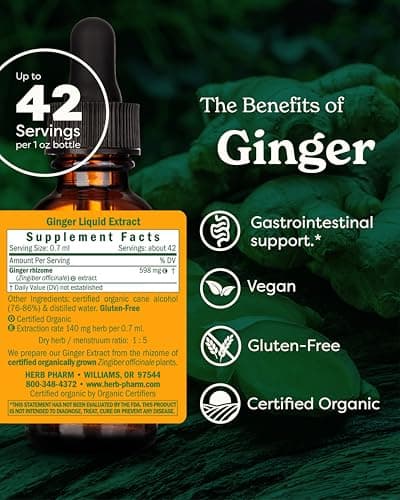 Herb Pharm Ginger Liquid Extract: Organic Supplement for Digestion, Occasional Nausea Support, Fast-Absorbing Ginger Liquid, Sugar-Free Digestive Support Tincture, Up to ~3 Week Supply, 1 oz*
